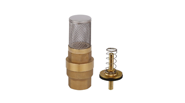 Foot valves with strainer